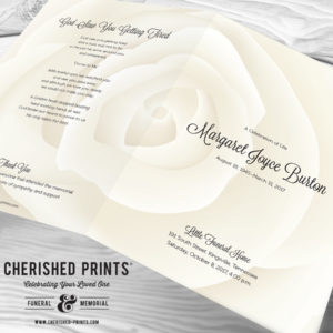 Close up view of the Modern White Rose White Rose Celebration of Life Program, Funeral Program, Memorial Service Program