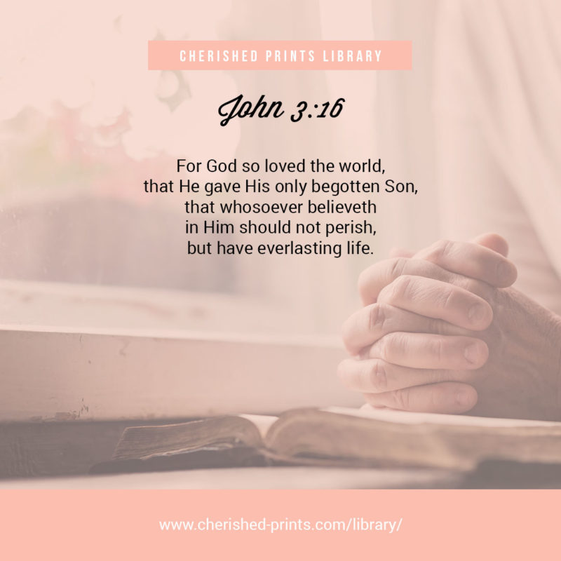 John3-16-Cherished-Prints-Library