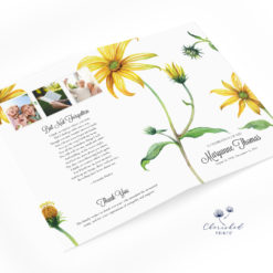 Yellow Daisies Program no cover photo